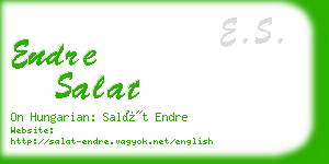 endre salat business card